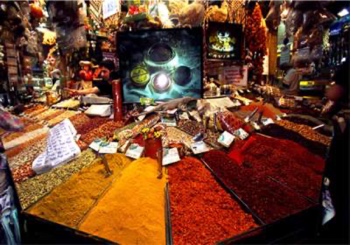 a large display of spices